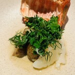 センティウ - クロスアウッ(脱衣)