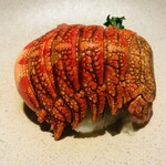 センティウ - アップで♪