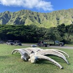 クアロア・ランチ・ハワイ カフェテリア - 