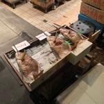魚秀 - 241231焼たての鯛が並ぶ