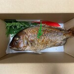 魚秀 - 養殖２万円(自宅用)②