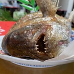 魚秀 - 養殖２万円(自宅用)⑤