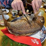 魚秀 - 養殖２万円(自宅用)⑦