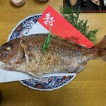 魚秀 - 養殖２万円(自宅用)③