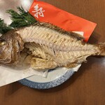 魚秀 - 養殖２万円(妹家用)②