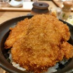 新潟カツ丼 タレカツ 日比谷店 - タレをまとったカツが3枚