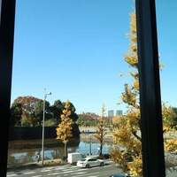 RESTAURANT PRUNIER - 