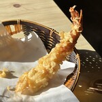 相川庵 - シャキィーーーーーーン！