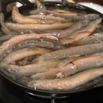 どぜう飯田屋 - 