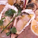 築地トゥットベーネ - 