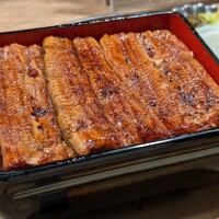 うなぎ 目白ぞろ芽 - 
