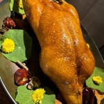 中華Aoki 恵比寿 - 