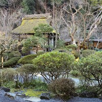 うかい鳥山 - 