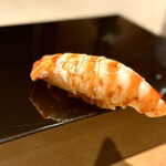 恵比寿 鮨 ふじまさ - 車海老