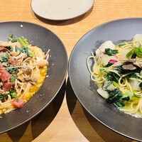 アンブレイス -  アンブレイス -