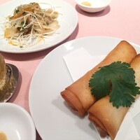 シェフス -  シェフス -