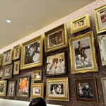 オクシタニアル - 