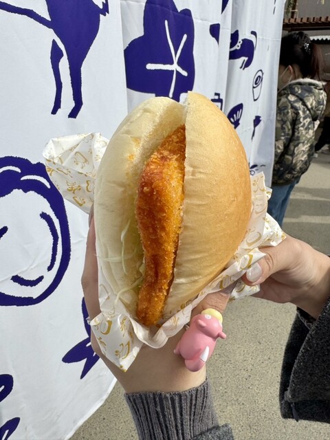 katsutanikashipanho photo 5