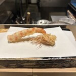 280822526 - 海老の天ぷら