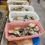 牡蠣ハウス マルハチ - 