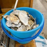 牡蠣ハウス マルハチ - 