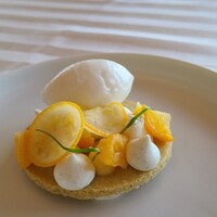 レストラン シャンボール - ⑩茴香(フェンネル)&ライムのシャーベット、金柑のコンポート、檸檬、茴香のメレンゲ、タルト生地を敷いて 
                      柑橘の爽やかな酸味と甘み、胃袋がスッキリするデザートです