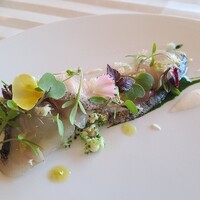 レストラン シャンボール - ④寒鰆(山口県岩国産)のカルパッチョ仕立て、春菊のピューレソース&西洋山葵のソース、ブロッコリー&カリフラワーのギンディージャ添え
                    今や広島の料理店には欠かせない岩国の鰆、広島の最上料理店の定番食材