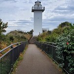 きんこ芋工房 上田商店 灯台カフェ - 