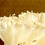 BUNA - テット・ドモワンヌ　先端の焦がし効果の焼きつけは、本当に繊細なタッチです　byまみこまみこ