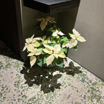 BUNA - byまみこまみこ