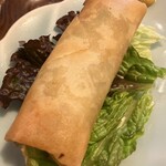 むぎきり - 具だくさん春巻き@250円