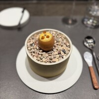CIRPAS - 