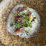 naturam kazuya sugiura - 