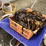 大春 - ワカメしゃぶしゃぶ用のワカメ