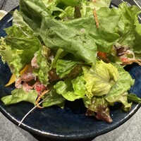 東京焼肉 平城苑 銀座5丁目店 - 平城苑サラダ