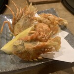 若狭天然活魚料理 大将 - 