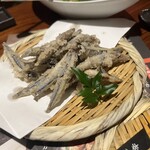 九州 熱中屋 田町芝浦 LIVE  - 