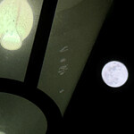 焼きもの家 慶 - 飲んで出て天の原をふりさけ見ると満月はかなり高くまで昇っていた。吾妻の家に出し月かも^_^