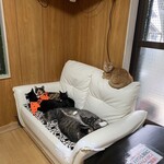ねこ屋 - 