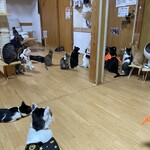 ねこ屋 - 