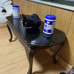 ねこ屋 - 