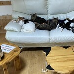 ねこ屋 - 