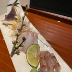 おい河 - ホッキ　マツカワ　活車海老