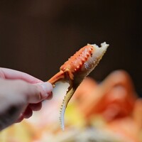 越前がに・旬のお料理 らでん - 