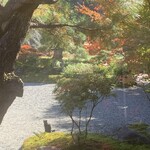 京 翠嵐 - 黒猫ちゃんと紅葉する庭園を眺めながら