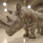 トーコーキッチン - サイ