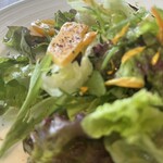 パスタ フレスカ ダンメン - 