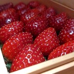 Metis - 千葉県大網白里町産黒苺”真紅の美鈴”