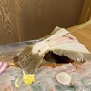 玄海の活魚と糸島直送の食 博多居酒屋 どげん海