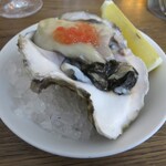 Trattoria Da KENZO - 